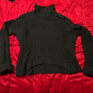 Express Turtleneck Sweater